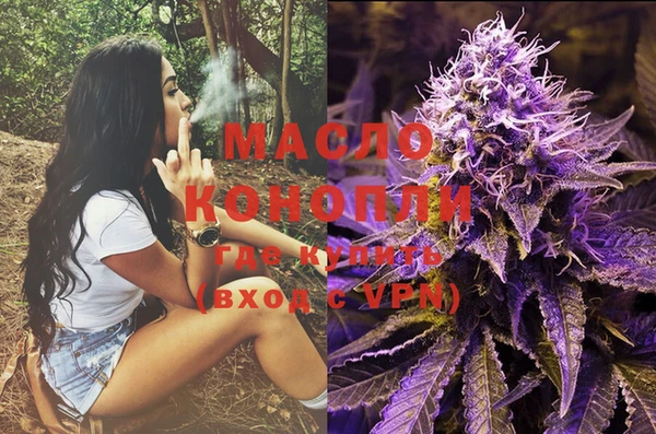 сатива Дмитров