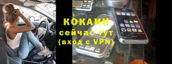 сатива Дмитров