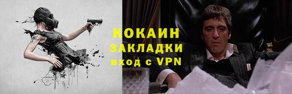 сатива Дмитров