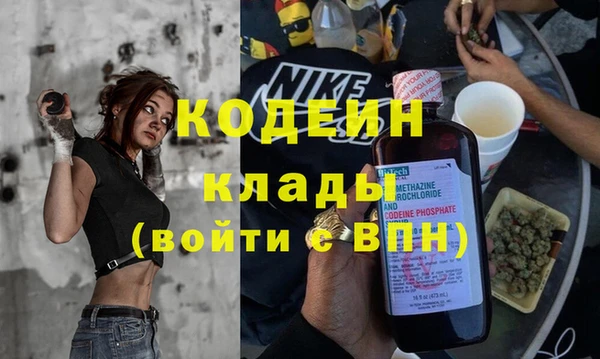 сатива Дмитров