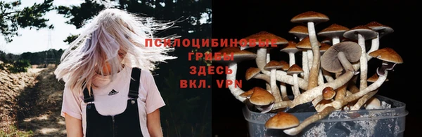 сатива Дмитров
