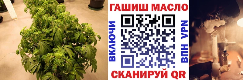гидра вход  как найти закладки  Новочебоксарск  ТГК гашишное масло 