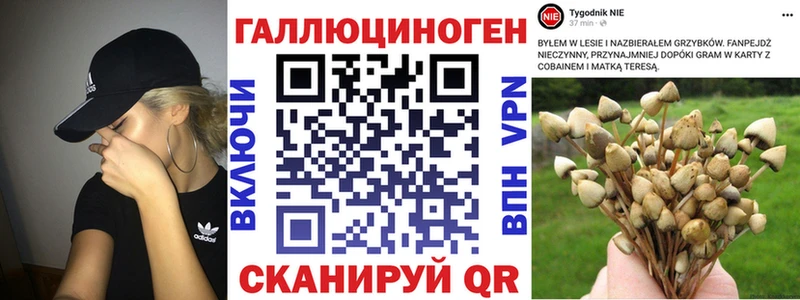Псилоцибиновые грибы мухоморы Новочебоксарск