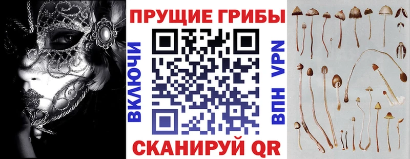 Галлюциногенные грибы Psilocybe  кракен онион  Новочебоксарск 